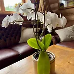 U Haliny Stasikowka - Homestay szállás *
