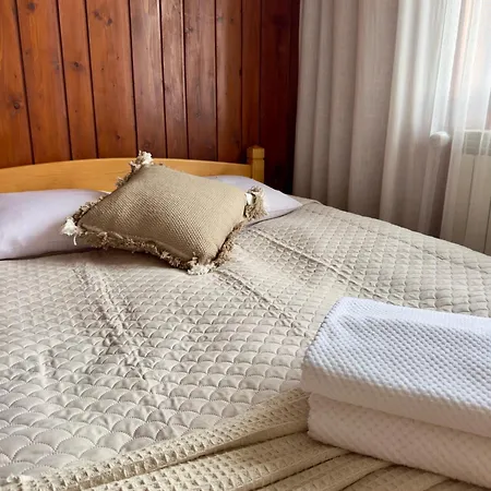 ホームステイ U Haliny Stasikowka - *